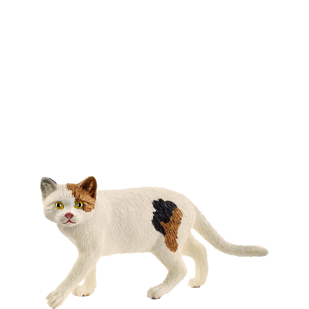 Schleich Bianco Gatto Americano A Pelo Corto - 13894